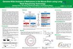 Genome-Wide Analysis of Methylome in the Mouse Brain using Long-Read Sequencing Technology by Zachary Even, He Huang, Ramkumar Mathur, and Xusheng Wang