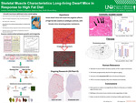 Skeletal Muscle Characteristics Long-living Dwarf Mice in Response to High Fat Diet