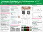 Characterization of GATA3 Mutant T47D Breast Cancer Spheroid Development, Viability, and Drug Response