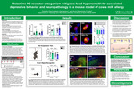 Histamine H3 receptor antagonism mitigates food-hypersensitivity-associated depressive behavior and neuropathology in a mouse model of cow’s milk allergy