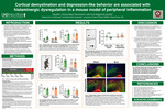 Cortical demyelination and depression-like behavior are associated with histaminergic dysregulation in a mouse model of peripheral inflammation