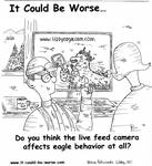 Do you think the live feed camera affects eagle behavior at all? by Steve Edwards
