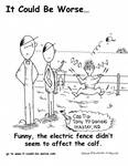 Funny, the electric fence didn't seem to affect the calf. by Steve Edwards