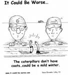 The caterpillars don't have coats... could be a mild winter. by Steve Edwards