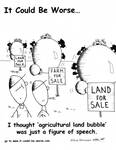 I thought 'agricultural land bubble' was just a figure of speech. by Steve Edwards