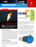 Flaring by University of North Dakota. Energy and Environmental Research Center