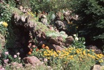Wonder Cave Garden and Rock Detail by James Smith Pierce