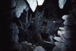 Shrine Inside Wonder Cave by James Smith Pierce