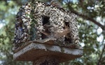 Birdhouse by James Smith Pierce