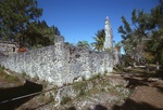 Coral Wall and Tower (Back View) by James Smith Pierce