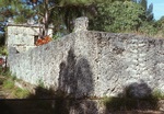 Coral Wall (Back View) by James Smith Pierce