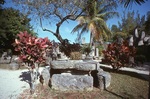 Castle Grounds with Coral Table and Benches by James Smith Pierce