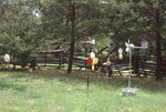 View of Yard with Weathervanes