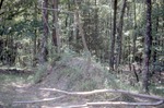 Mound in the Woods