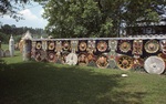 Wall Mural and Sculptures by James Smith Pierce