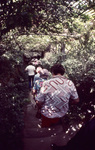 People Walking Under Trellis With Vines by James Smith Pierce