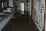 "Grand Forks Flood Evacuation. Highway Department Offices" by Jacob Dvorak