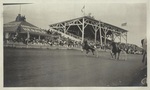 Harness Racing at the State Fair, 1909