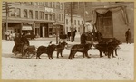 Dog Sled in Downtown Grand Forks