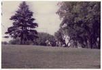 Frisbee Golf Course in Central Park, June 27, 1983