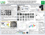 Acoustic levitation at sub-atmospheric pressures and reduced temperatures: An approach to study ice crystal and hypersonic shockwave interaction