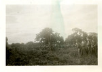 164th Infantry Regiment on Guadalcanal