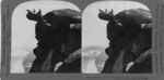 Stereoscope Slide, Glacier Point by B.L. Singley