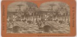 Stereoscope Slide, Grand Union Hotel Parlor, Saratoga, N.Y. by Artist Unknown