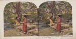 Stereoscope Slide, Kyoto, Japan. Ladies Taking Tea Under the Maples on Takao River. by Artist Unknown