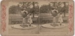 Stereoscope Slide, American Series by Artist Unknown