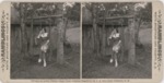 Stereoscope Slide, Ramblings, White Mountains and Vicinity, N.H. (Woman on Swing) by J.A. Sherwood