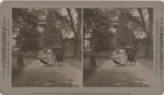 Stereoscope Slide, Ramblings, White Mountains and Vicinity, N.H. (Women on a path) by J.A. Sherwood