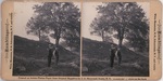 Stereoscope Slide, Ramblings, White Mountains and Viginity, N.H. by J.A. Sherwood