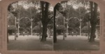 Stereoscope Slide, In Kroll's Beautiful Garden, Berlin, Germany by R.Y. Young