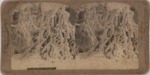 Stereoscope Slide, Underwood & Underwood, Ice Grove by C Bierstadt