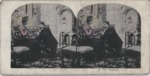 Stereoscope Slide, The Proposal by Artist Unknown