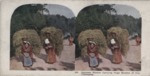 Stereoscope Slide, Japanese Women Carrying Huge Bundles of Hay, Yokohama by Artist Unknown