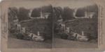 Stereoscope Slide, Underwood & Underwood, Valley Gardens from Prospect Point by J.F. Jarvis