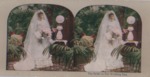 Stereoscope Slide, The Bride on Her Wedding Day. by Artist Unknown
