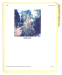 "Obelisks & Pyramids 2008" Folder of 2 References on Paper by James Smith Pierce