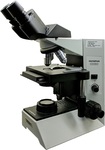 Microscope_No Background by Sarah Sletten