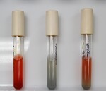 Nitrate Test after Zinc (tube 2 and 3) by Sarah Sletten