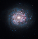 Spiral Galaxy NGC 3982 by NASA, ESA, and Hubble Heritage Team (STScI/AURA)