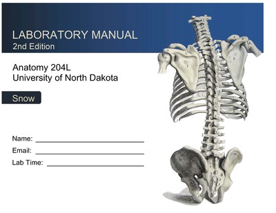 Anatomy Lab Notebook Single