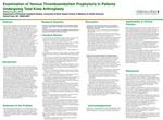 Examination of Venous Thromboembolism Prophylaxis in Patients Undergoing Total Knee Arthroplasty