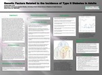 Genetic Factors Related to the Incidence of Type II Diabetes in Adults