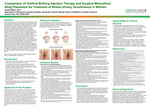Comparison of Urethral Bulking Injection Therapy and Surgical Midurethral Sling Placement for Treatment of Stress Urinary Incontinence in Women
