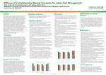 Efficacy of Complimentary Manual Therapies for Labor Pain Management by Emily Yenter