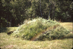 (007) Mound August 1972 by James Smith Pierce