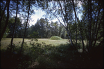 (025) Mound August 1972 by James Smith Pierce